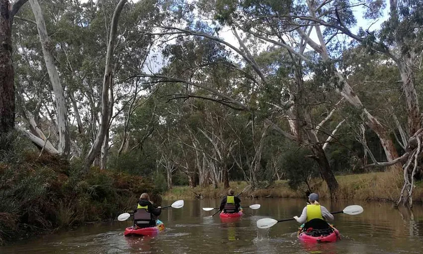 Barossa Kayak Hire and Tour - Book Now | Experience Oz