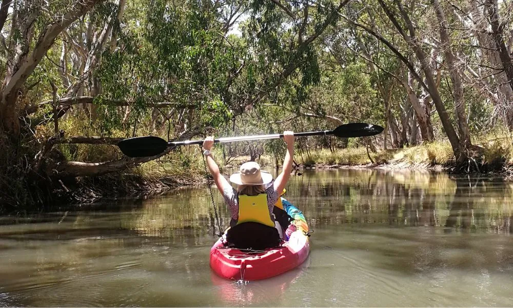 Barossa Kayak Hire and Tour - Book Now | Experience Oz -1