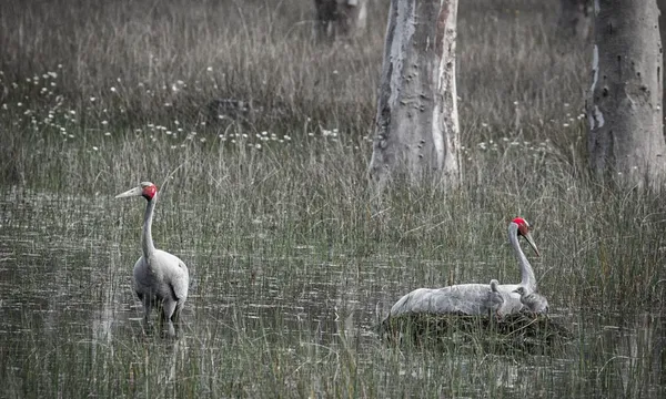 Warrawindi Farm Experience - 45 Minutes