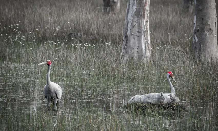 Warrawindi Farm Experience - 45 Minutes | Experience OZ