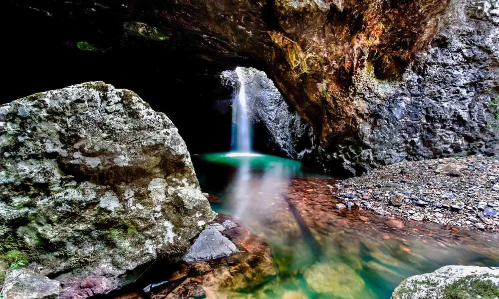 Kangaroos and Mountain Views-5