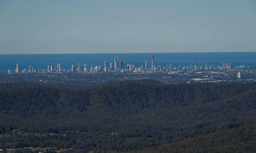 Kangaroos and Mountain Views-7