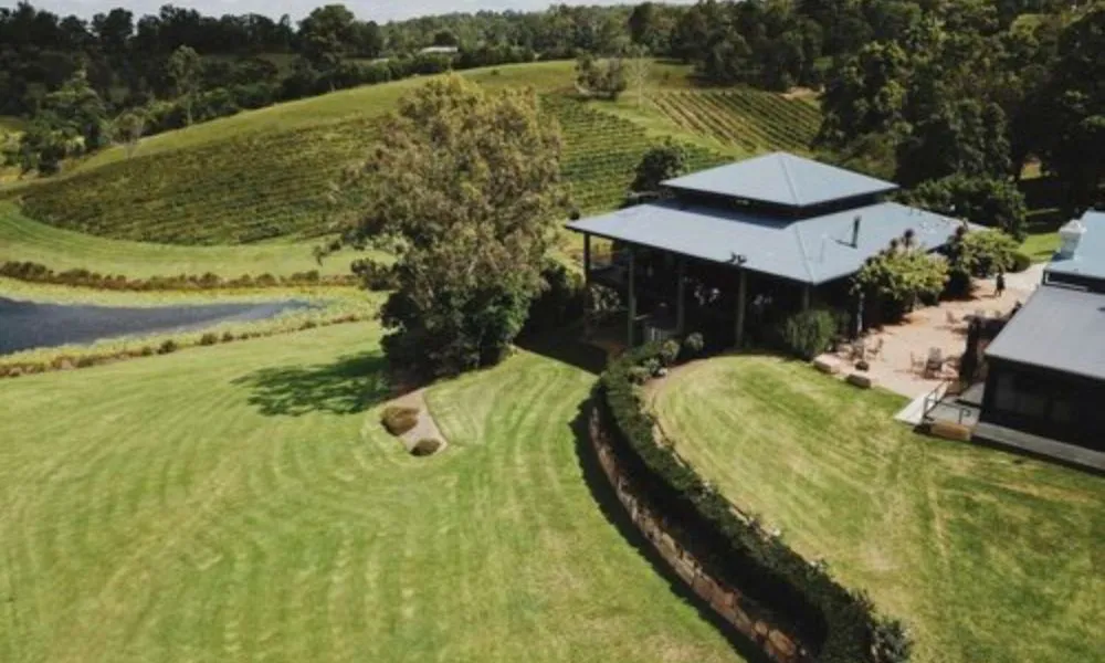 Ocean View Estates Picnic In The Vines | Experience Oz-2