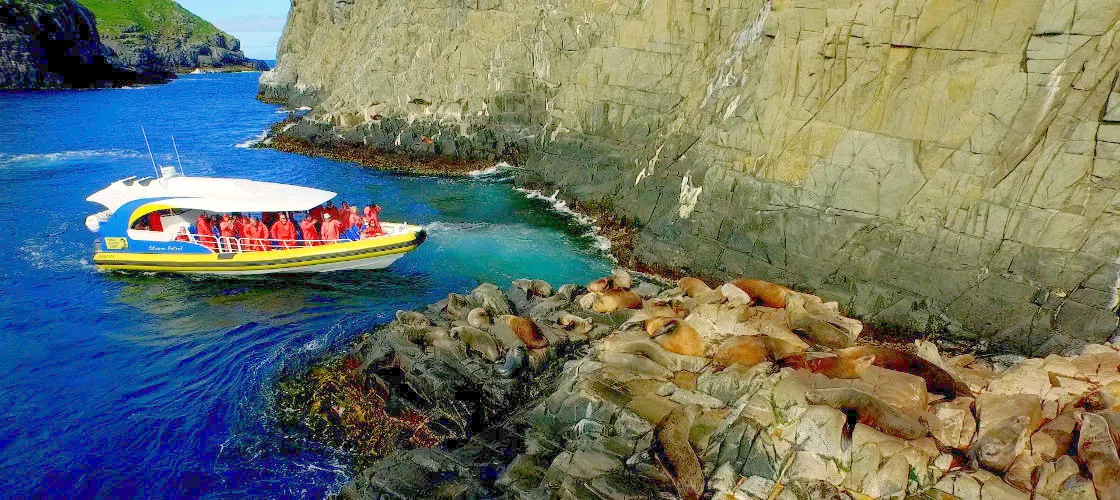 Bruny Island Wilderness Cruise from Kettering - Book Now | Experience Oz-1