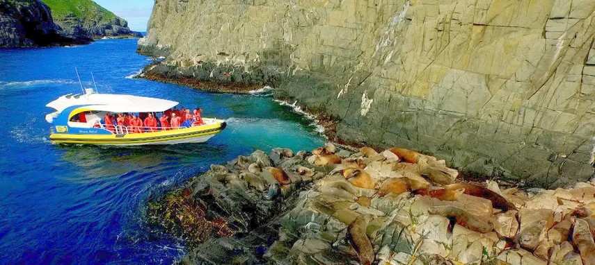 Bruny Island Wilderness Cruise from Kettering - Book Now | Experience Oz