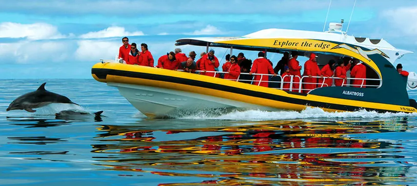 Bruny Island Wilderness Cruise from Kettering - Book Now | Experience Oz