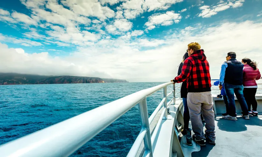 Bruny Island Wilderness Cruise from Kettering - Book Now | Experience Oz