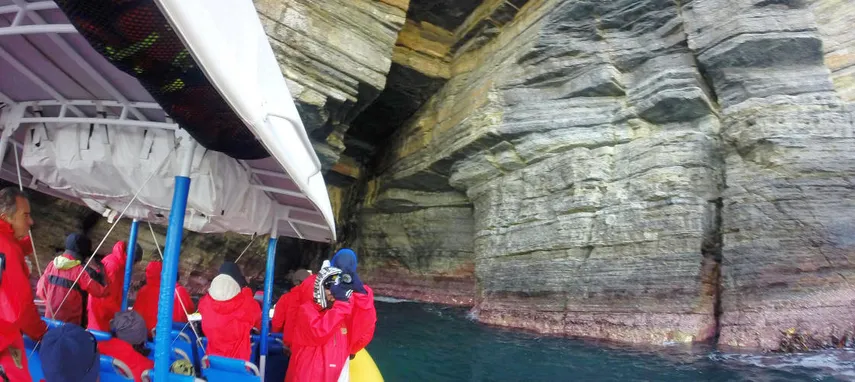 Tasman Island Cruise from Hobart | Experience Oz
