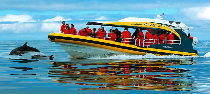 Tasman Island Cruise from Hobart | Experience Oz