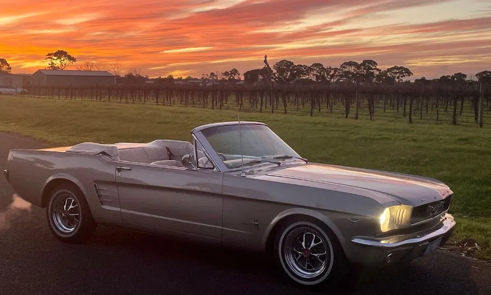 Barossa Valley Mustang Winery Tour| Experience Oz-6
