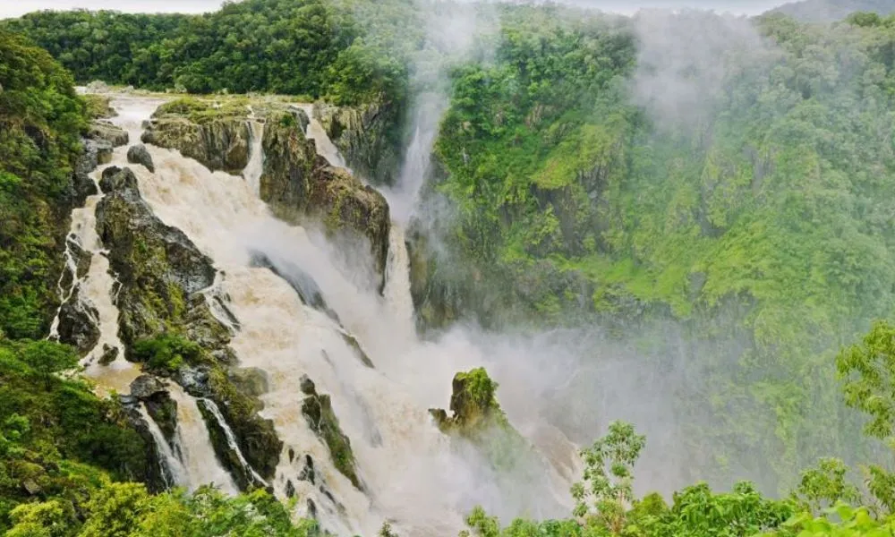 Cairns Rainforest & Waterfall 4WD Tour - Half Day | Experience Oz-4