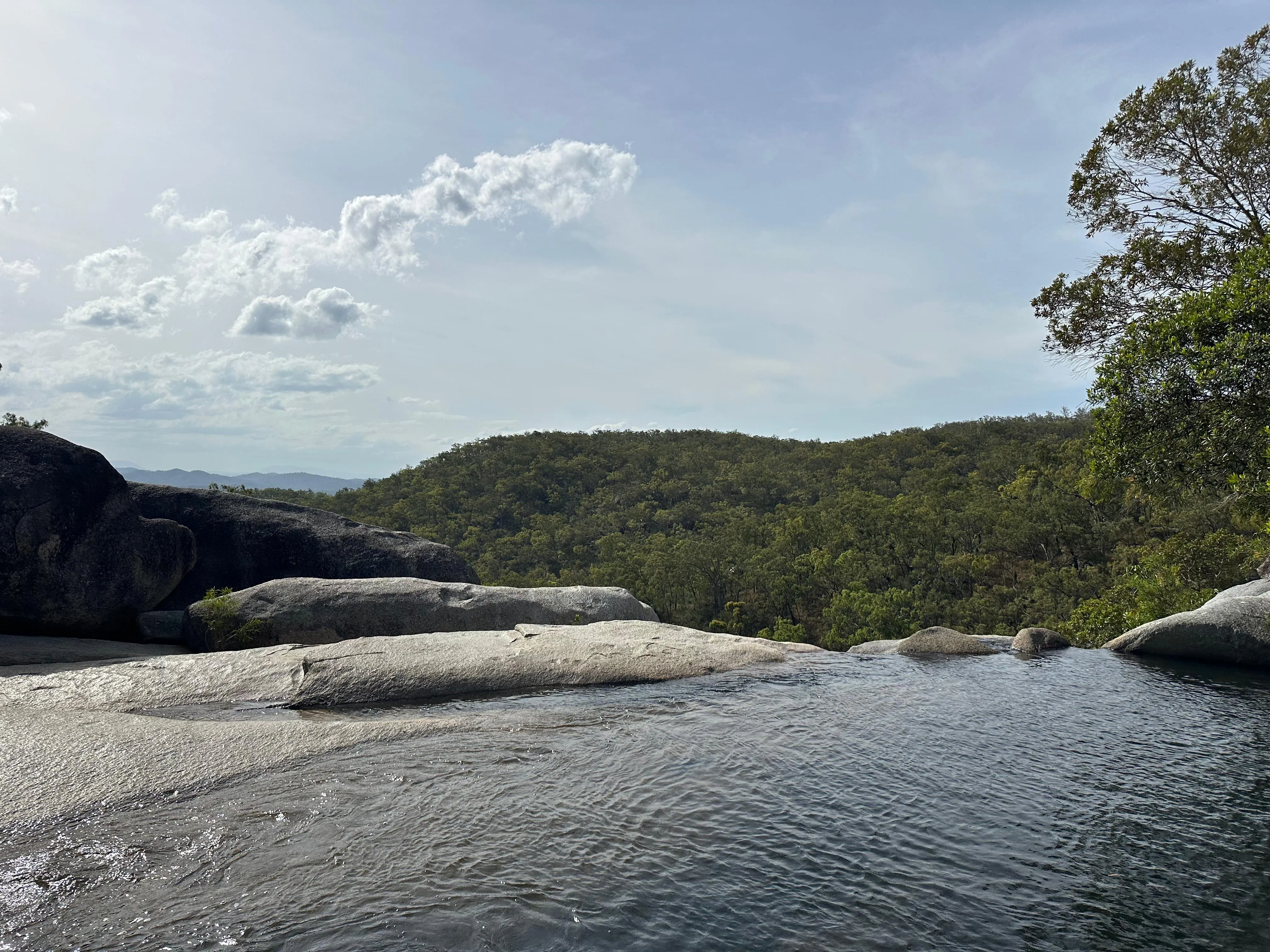 Cairns Rainforest & Waterfall 4WD Tour - Half Day | Experience Oz-7