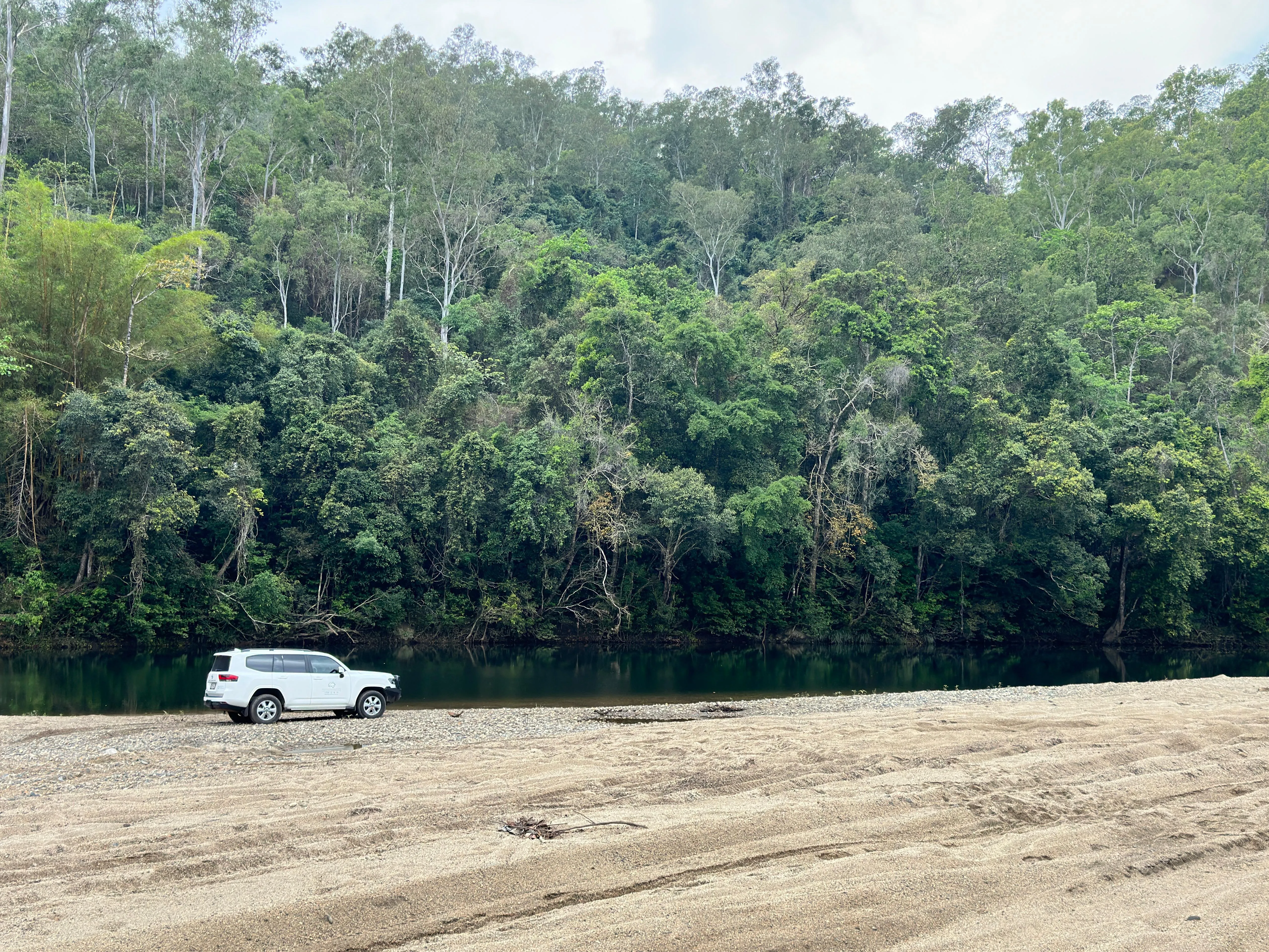 Cairns Rainforest & Waterfall 4WD Tour - Half Day | Experience Oz-8
