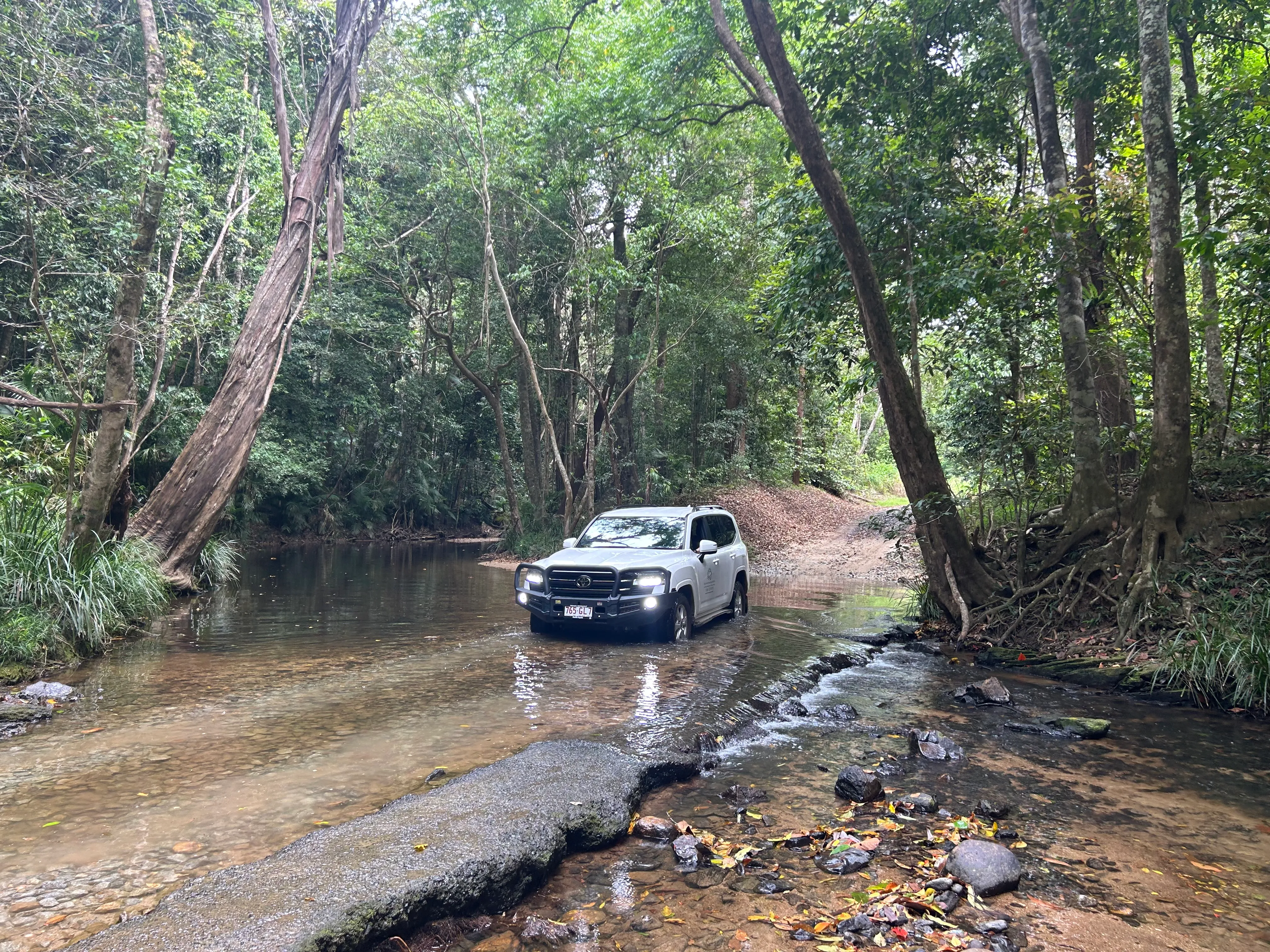 Cairns Rainforest & Waterfall 4WD Tour - Half Day | Experience Oz-3