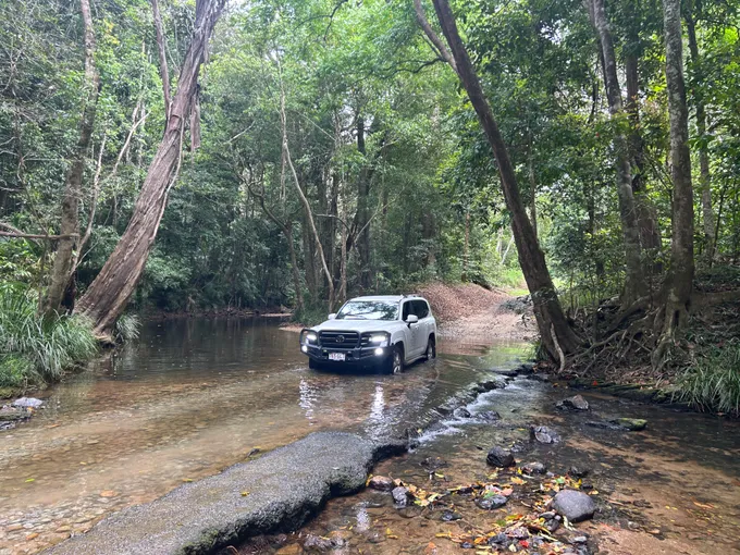 Cairns Rainforest & Waterfall 4WD Tour - Half Day | Experience Oz