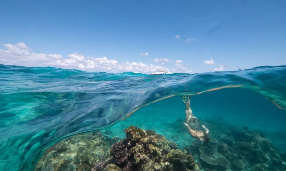 2 Day Cairns Liveaboard on OceanQuest - Book Now | Experience Oz -9