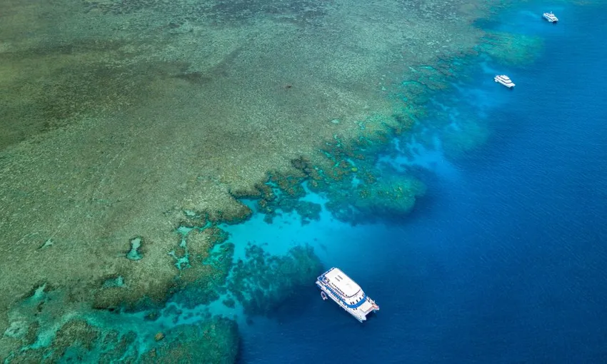 2 Day Cairns Liveaboard on OceanQuest - Book Now | Experience Oz 