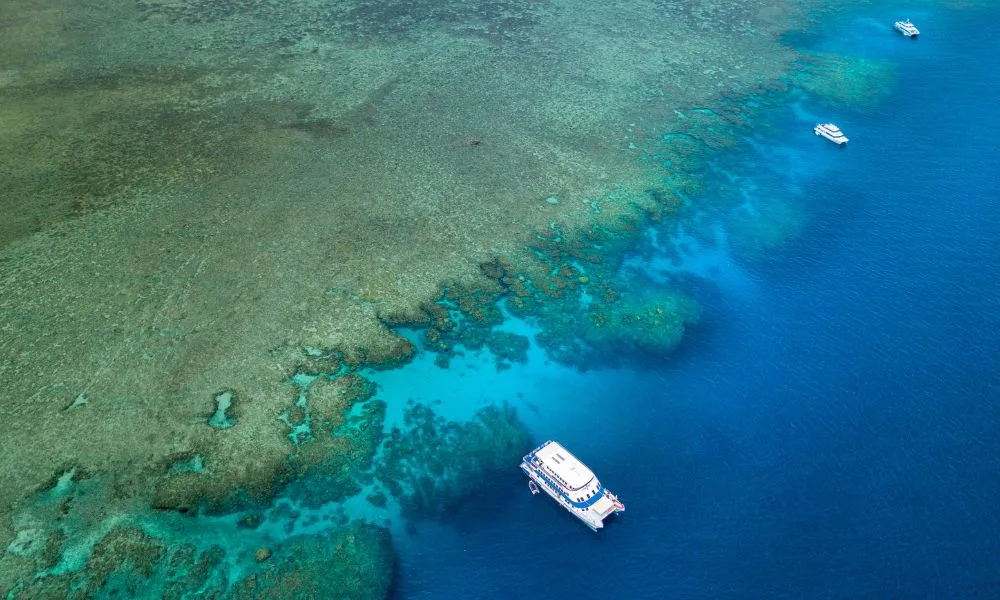 3 Day Cairns Liveaboard on OceanQuest - Book Now | Experience Oz -1