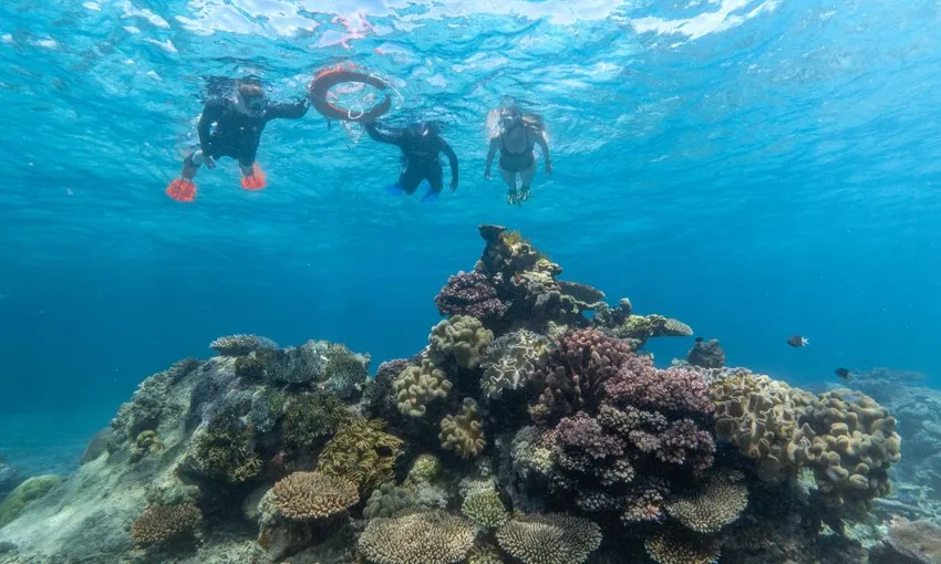3 Day Cairns Liveaboard on OceanQuest - Book Now | Experience Oz 