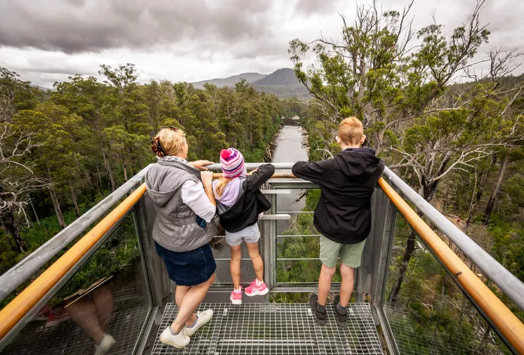 Tahune AirWalk General Entry | Experience Oz