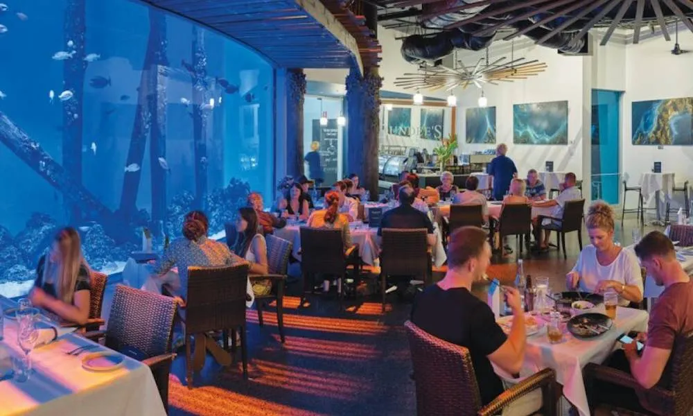 Night at the Aquarium Tour with 2 Course Dinner - Book Now | Experience Oz-1