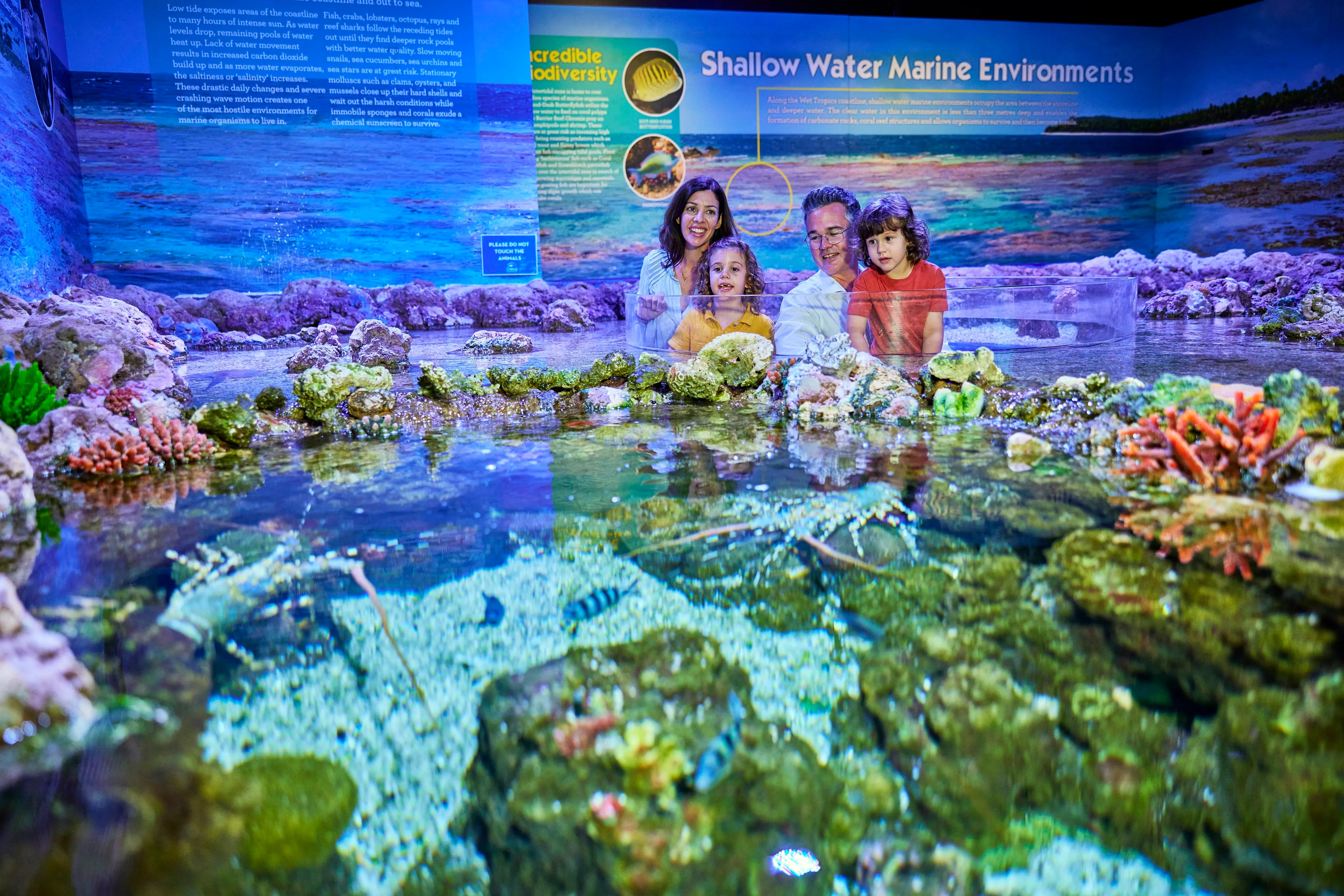 Night at the Aquarium Tour with 2 Course Dinner - Book Now | Experience Oz-3