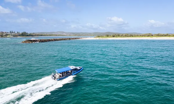 Lake Macquarie Whale Watching Cruise - 2 Hours