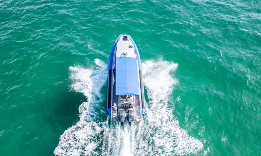 Lake Macquarie Whale Watching Cruise 2 Hours