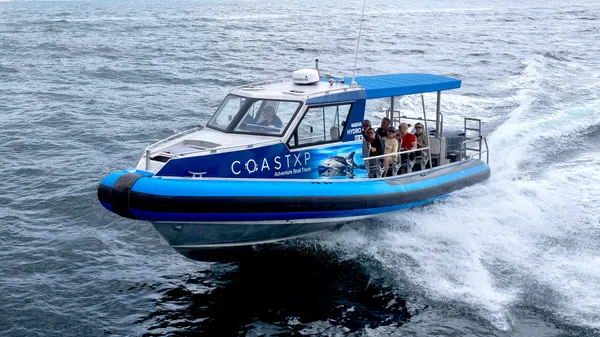 Lake Macquarie Whale Watching Cruise - 2 Hours