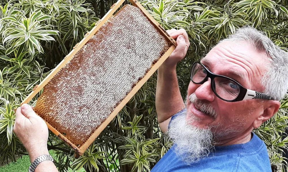 Noosa Hinterland Tasting Tour - Book Now | Experience OZ-5