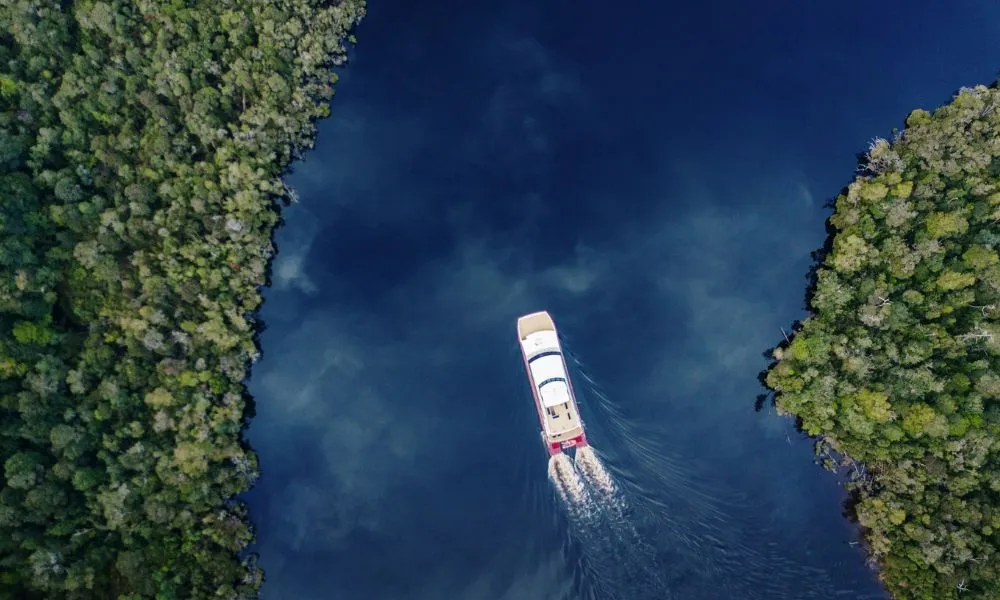 Gordon River Cruise with Lunch - Book Now | Experience Oz-6