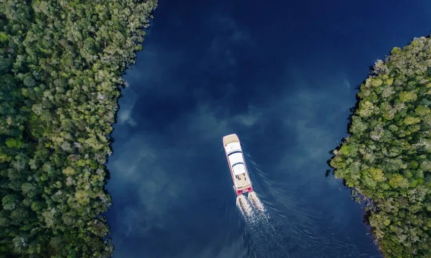 Gordon River Cruise with Lunch - Book Now | Experience Oz