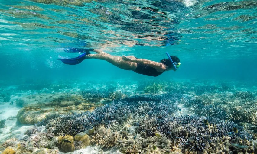 Lady Enid Sailing to Daydream Island Reef Experience | Experience Oz