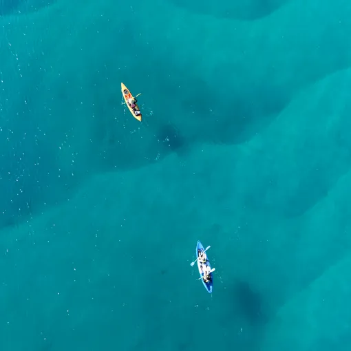 Gold Coast Sea Kayaking And Dolphin Morning Tour