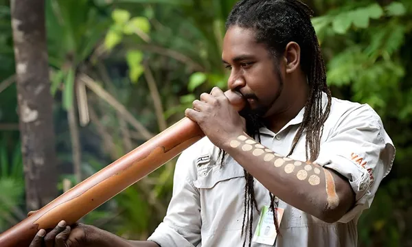 Daintree Rainforest Full Day Adventure - Departs Cairns