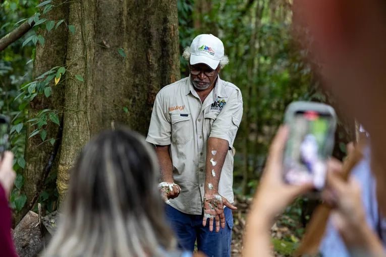 Daintree Rainforest Full Day Adventure - Departs Cairns