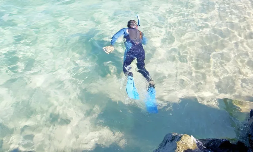 Half Day Snorkelling Tour on Wave Break Island