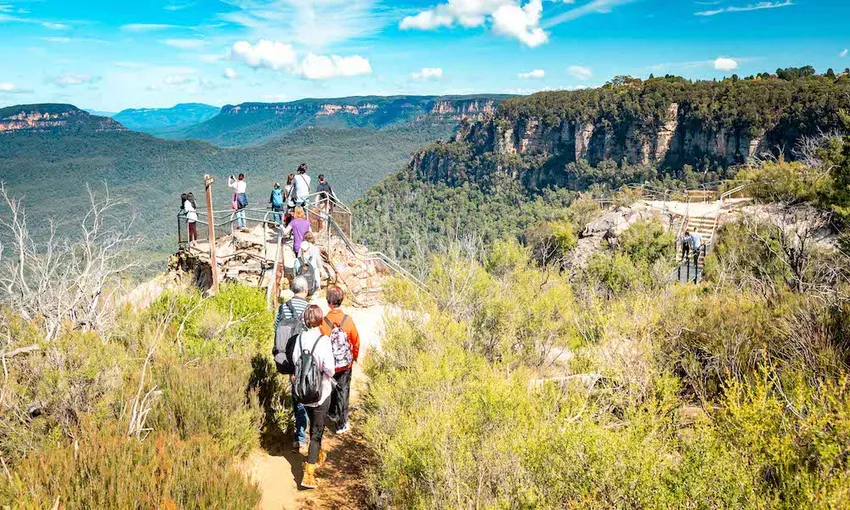 Blue Mountains Bush Walk and Nature Tour