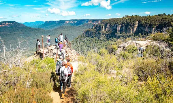 Blue Mountains Bush Walk and Nature Tour