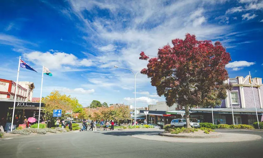 Blue Mountains Bush Walk and Nature Tour