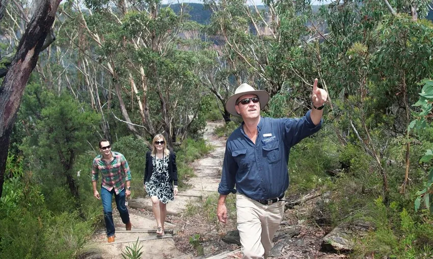 Blue Mountains Bush Walk and Nature Tour