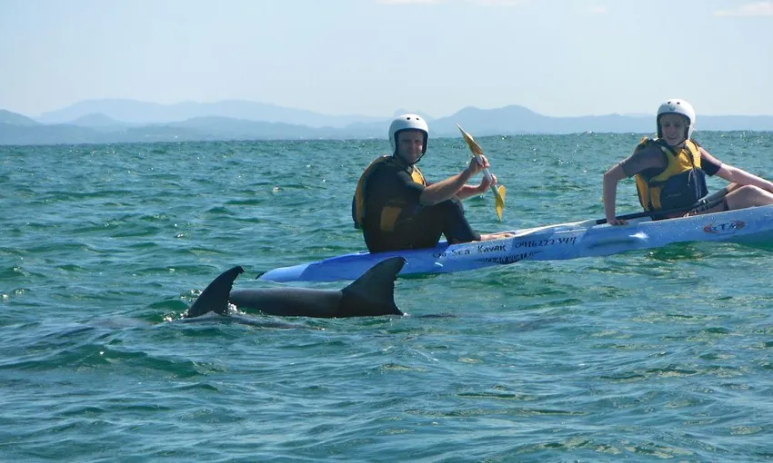 Byron Bay Dolphin Kayak Tour, 2.5 Hours