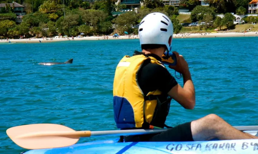 Byron Bay Dolphin Kayak Tour, 2.5 Hours