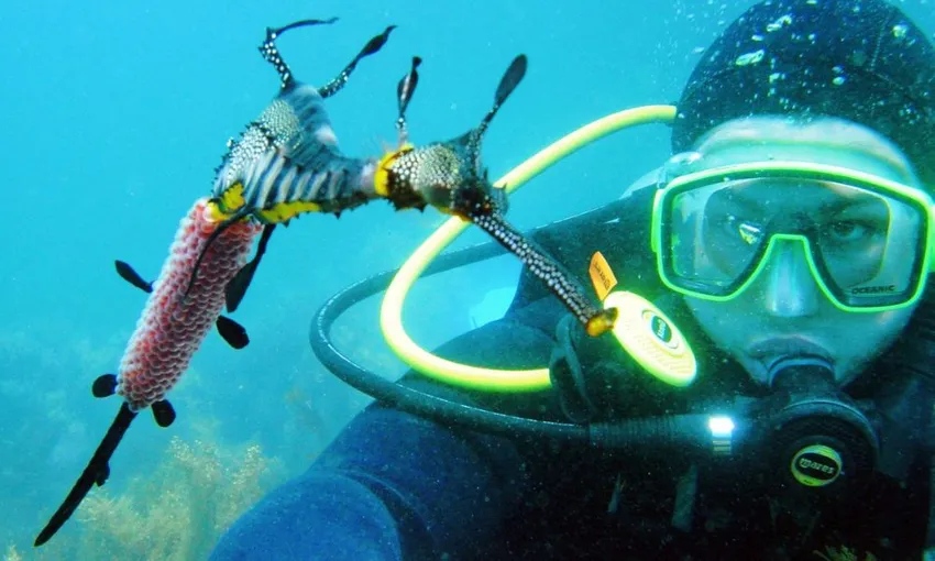 Sea Dragon Introductory Scuba Dive