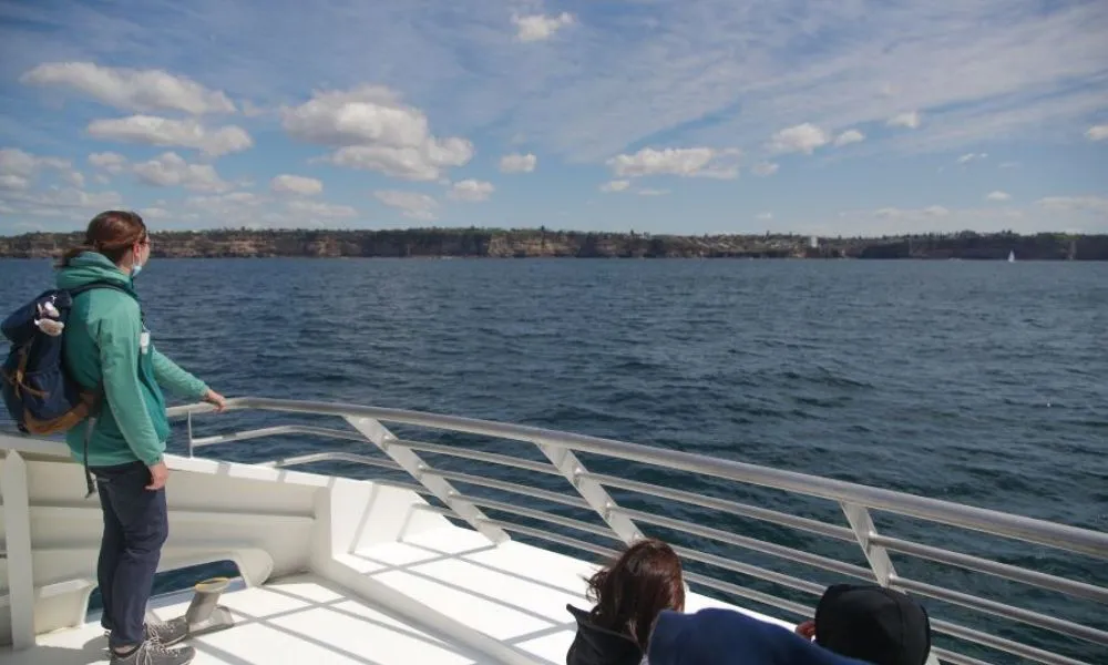 2 Hour Sydney Whale Watching | Experience Oz-3