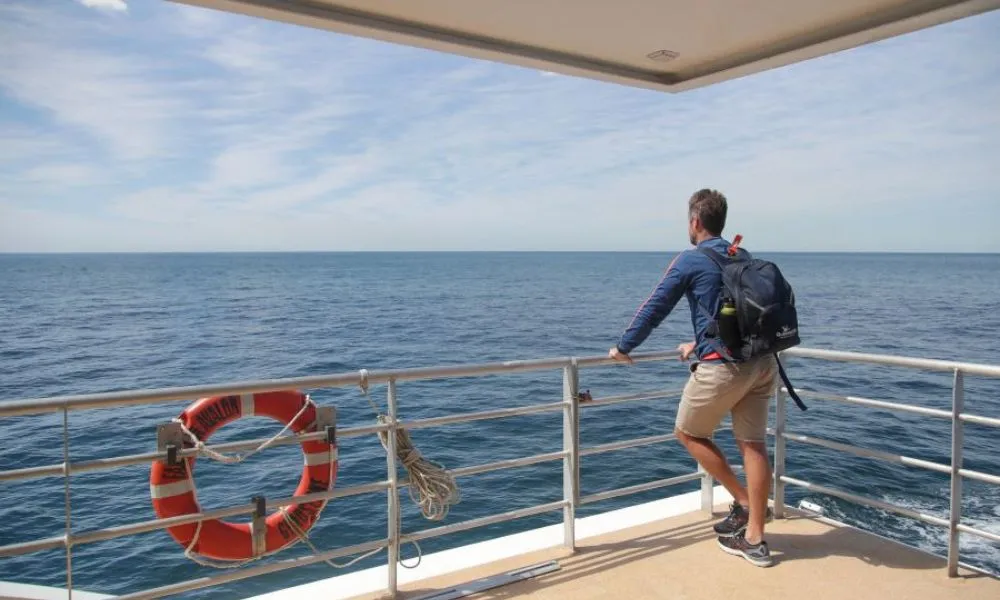 2 Hour Sydney Whale Watching | Experience Oz-5