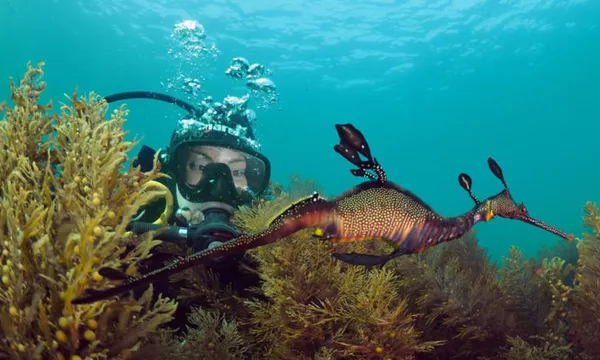 PADI Scuba Diving Open Water Course - 3 Days