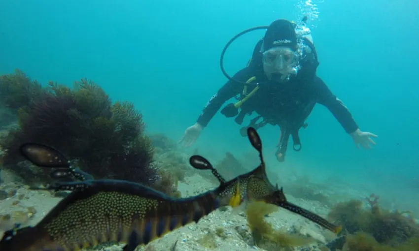 PADI Scuba Diving Open Water Course - 3 Days 