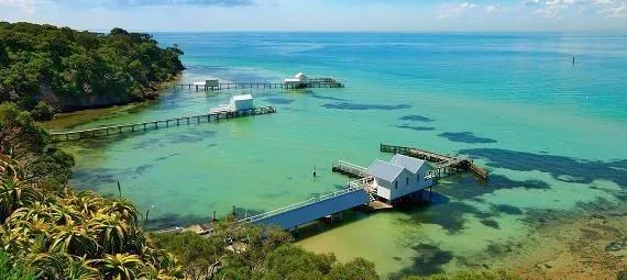 Mornington Peninsula Snorkel Tour with Sea Dragons, 2 Hours 