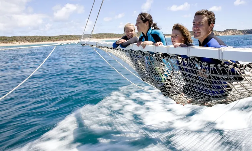 Swim with Wild Dolphins and Seals - Port Phillip Bay, departing Queenscliff